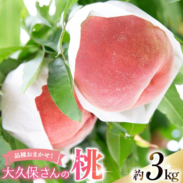 【ふるさと納税】 【2026年発送】 桃 もも モモ フルーツ 果物 旬 くだもの 約 3kg（家庭用） 訳あり 3キロ 山梨県産 産地直送 季節限定 期間限定 新鮮 朝どれ [大久保桃園 山梨県 韮崎市 20745242]