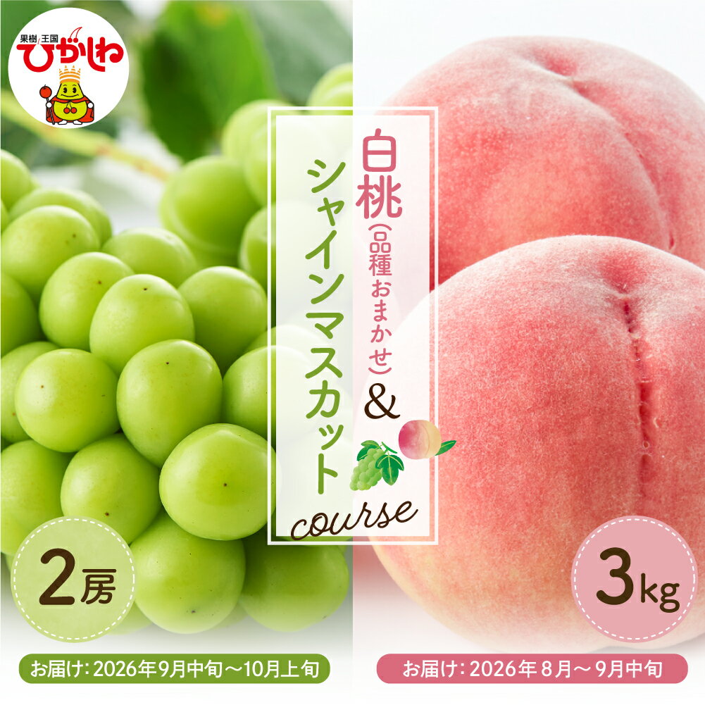 【ふるさと納税】［定期便 2回］2026年 果物定期便 （ 白桃 品種お任せ 3kg、シャインマスカット 2房 ）| もも シャインマスカット マスカット ぶどう 桃 白桃 ふるさと フルーツ 果物 フルーツ定期便 送料無料 山形県 東根市