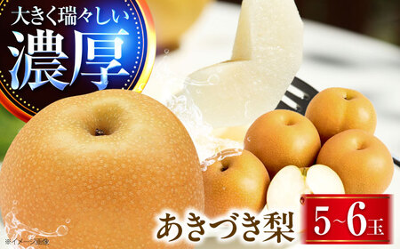 稲田ペアファームのあきづき梨 5～6玉 〈2026年9月～発送〉 ／ フルーツ 果物 くだもの 食品 人気 おすすめ 送料無料 梨 なし 秋月 人気 甘い デザート 贈り物 果汁 【株式会社内子フレッシュパークからり】 [BKAD028]
