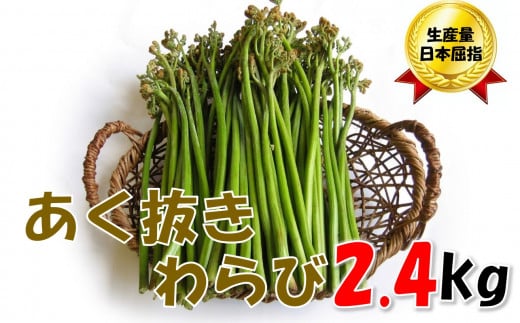 【通常配送】採れたて山菜　あく抜きわらび　200ｇ×12束