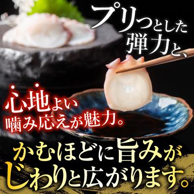 ふるさと納税 根室市 【北海道根室産】たこお刺身スライス120g×7P A-19011 |  | 02