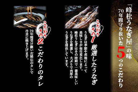 国産うなぎの蒲焼１尾入り 【180～200g】 大型サイズ 国産 鰻 ウナギ 蒲焼き タレ付き 密封パック入りうなぎ 佐賀県 鹿島市 冷蔵うなぎ　B-14