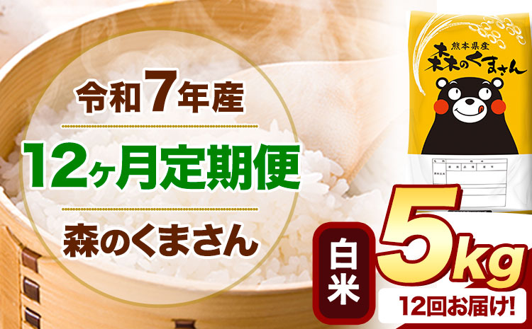 【12ヶ月定期便】 令和7年産 白米 森のくまさん 5kg 5kg×1袋 《お申込み翌月から出荷》 熊本県産 白米 精米 米 こめ コメ お米 kome---mifune_lcl_1253_mo12_---