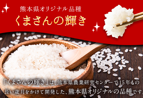 令和5年産 矢護川清流そだち(くまさんの輝き) 2kg 大津町矢護川おいしい米作り研究会   大津町《60日以内に出荷予定(土日祝除く)》---so_ygsdc3_60d_21_7500_2kg---