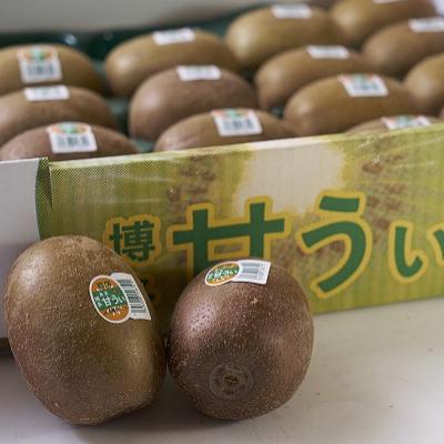 ふるさと納税 吉富町 福岡限定!ブランドキウイ「甘うぃ(あまうぃ)」約3kg箱(24-30玉)(吉富町) |  | 02
