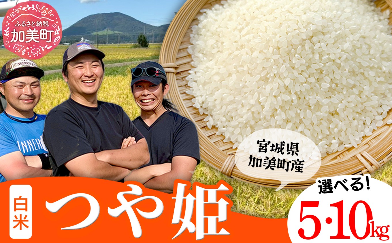 
                  つや姫 【新米予約】 5kg / 10kg （2026年10月中旬～発送） 令和8年産 宮城県産 白米 精米 ご飯 ごはん コメ こめ お米 小分け 家庭用 つやひめ 結心ファーム [ 宮城県 加美町 ] [yu-th-r8-s-oya]
                