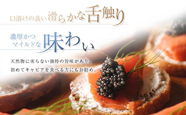 宮崎キャビア1983 バエリ プレミアム 計20g 贈答品 高級 魚卵 国産【E249】