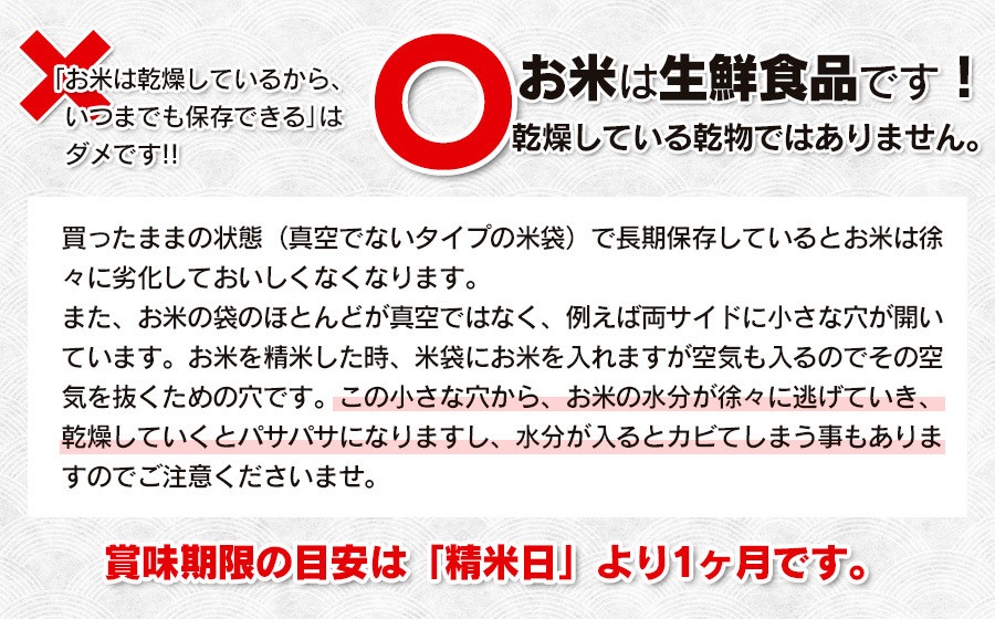 【3回定期便】【令和7年産】 はえぬき 10kg(5kg×2)×3回 山形県庄内産　鶴岡米穀商業協同組合