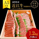 【ふるさと納税】近江牛 特選 焼肉 約1.2kg A5 雌牛 西川畜産 牛肉 黒毛和牛 焼き肉 焼肉用 バーベキュー 肉 お肉 牛 和牛 サーロインステーキ　 豊郷町 　お届け：繁忙期に限り納期最長3～5ヶ月。納期指定不可