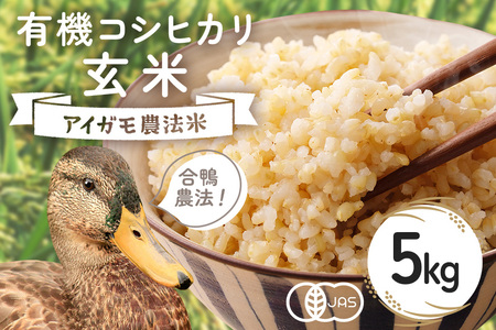 【令和7年産】有機 コシヒカリ 玄米 5kg 有機栽培 有機米 特別栽培米 合鴨農法 こしひかり お米 米 おこめ ブランド米 こしひかり 5キロ 国産 単一原料米 コメ こめ ご飯 銘柄米 茨城県産 茨城 産直 産地直送 農家直送 ごはん 家庭用 贈答用 茨城県 石岡市 (B03-003)