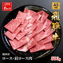 【ふるさと納税】【定期便6ヶ月】牛肉 飛騨牛 焼き肉 セット ロース 又は 肩ロース 500g 黒毛和牛 A5 美味しい お肉 牛 肉 和牛 焼肉 BBQ バーベキュー 【岐阜県池田町】　定期便