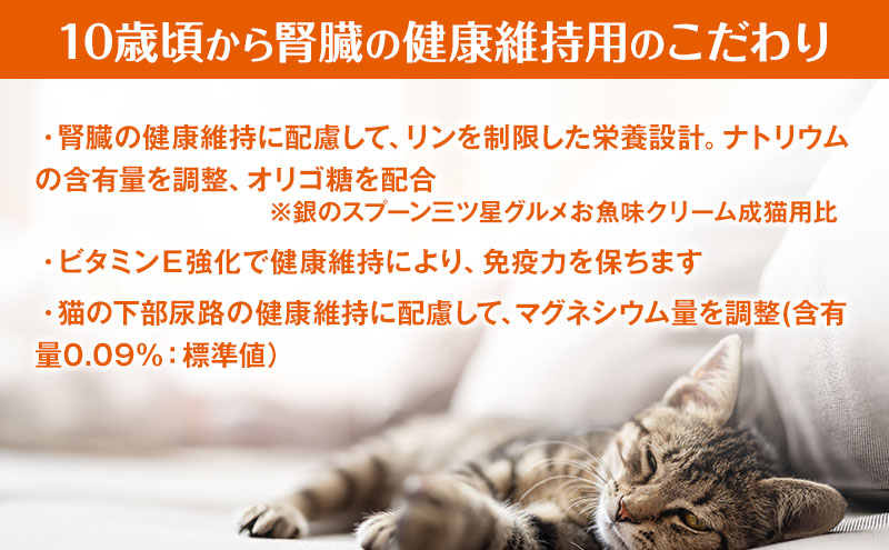 【定期便3回】銀のスプーン三ツ星グルメ お魚クリーム 10歳頃から まぐろ・かつお味 180g×6箱 3ヶ月連続お届け ペットフード キャットフード 猫のごはん 猫用フード 猫 ペット