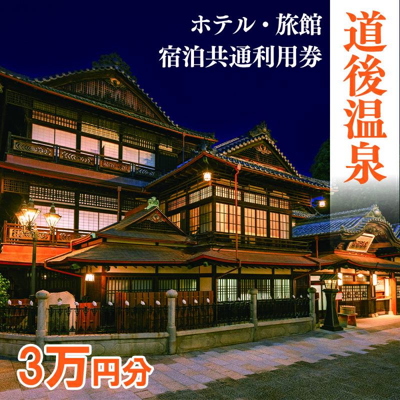 【ふるさと納税】 道後温泉 ホテル 旅館 宿泊 共通利用券 30,000円 | 旅行 トラベル チケット 宿泊 宿泊券 温泉旅行 旅館 ホテル 予約 観光 人気 おすすめ 愛媛県 松山市