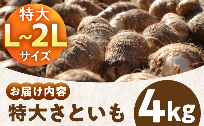 【先行予約】【9月上旬より順次発送】自然の恵みと伝統が育んだ！大洲産トロトロさといも（L〜2Lサイズ）4kg　愛媛県大洲市/沢井青果有限会社 [AGBN003]里芋 和食 朝ごはん 里芋の煮っころがし