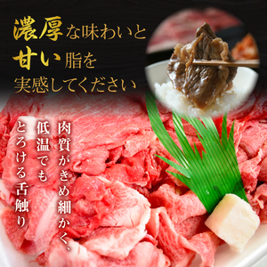 【3ヶ月定期便】茨城最高のブランド牛【常陸牛切り落とし】約600g｜肉 お肉 牛肉 常陸牛 切り落とし ブランド牛 定期便 お肉定期便 茨城県 行方市(J-14)