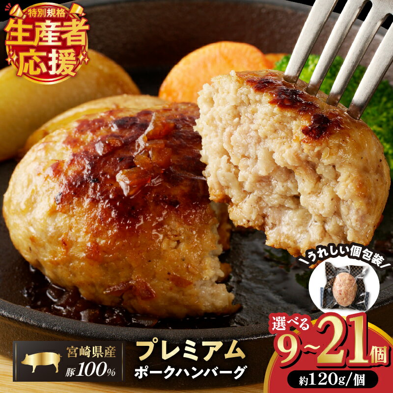 【ふるさと納税】生産者応援！！【期間・数量限定特別規格】 個数が選べる！！ お家で本格ハンバーグ 宮崎県産 豚肉 プレミアム ハンバーグ 9個 11個 16個 21個 加工品 惣菜 簡単調理 真空パック 個包装 小分け おかず お弁当 おすすめ 記念日 宮崎県 都農町 送料無料