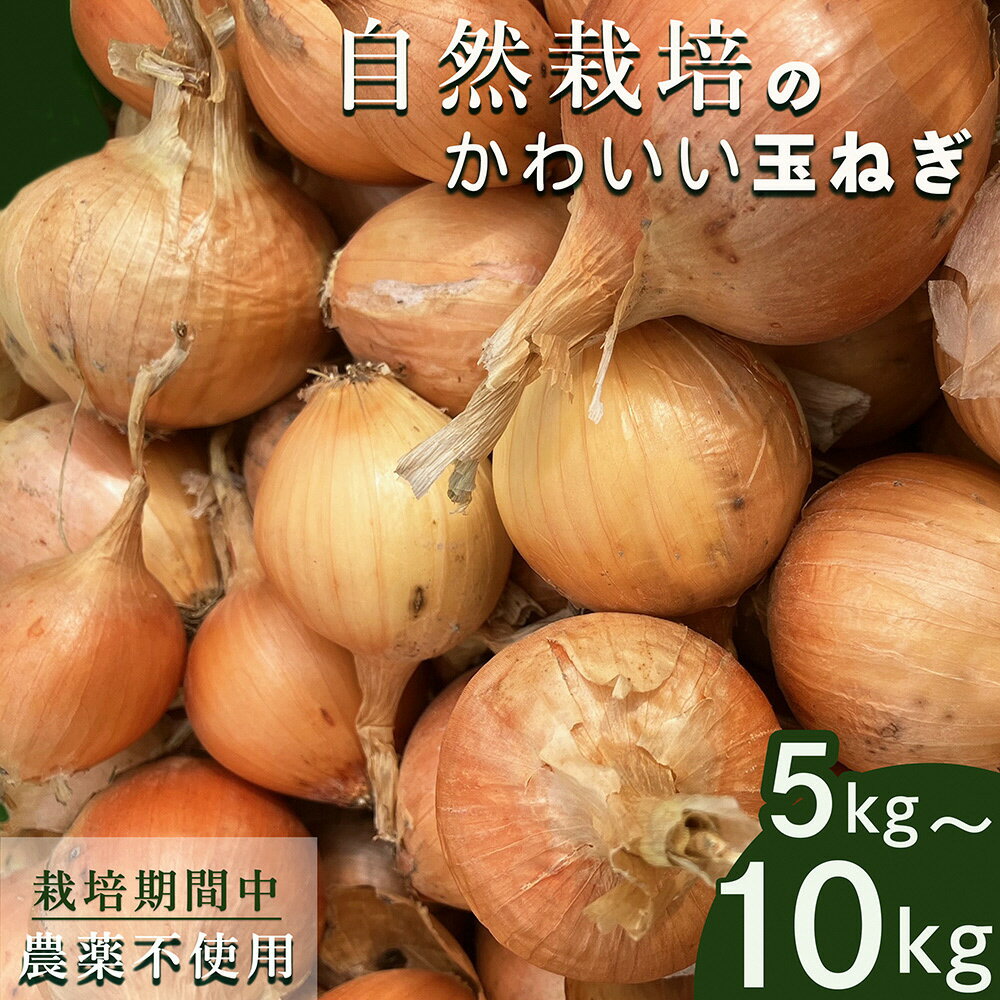 【ふるさと納税】【2026年産 予約】＼選べる内容量／ たまねぎ 5kg～10kg 自然栽培のかわいい玉ねぎ（小たまねぎ）京都府・亀岡産 かたもとオーガニックファームよりお届け ｜ 訳あり 玉葱 タマネギ 小さめ サイズ小 ※離島への発送不可 ※2026年6月頃より順次発送予定