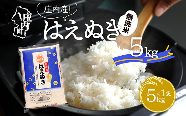 
            はえぬき無洗米 5kg コシヒカリの原点、亀の尾発祥の地 令和6年産 2024年産 ブランド米 無洗【1072-007A】
          