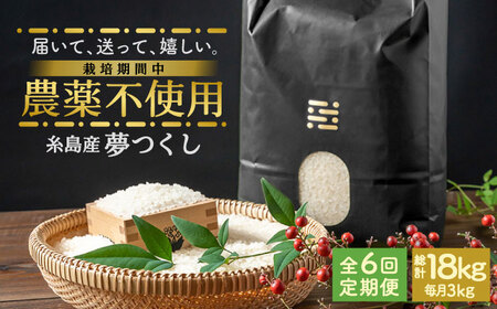 【全6回定期便】農薬を使わずに育てた 山つき 3kg 夢つくし 吉富町/(株)やました[BGBX011]