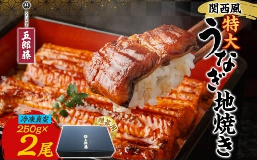 
            関西風うなぎ地焼き特大 冷凍真空 2尾×250g  贈答 うなぎ ウナギ タレ 老舗 伝統 蒲焼き 小分け 丑の日 ひつまぶし うな重 お取り寄せ グルメ プレゼント 贈答 贈り物 土用の丑の日 五郎藤 大阪府 堺市
          