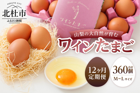 【12ヶ月定期便】山梨の大自然が育む「ワインたまご」30個　卵  鶏卵 M～L サイズ 定期便 新鮮 たまご コク 旨味 ポリフェノール 厳選餌 ブドウの皮 種  山梨県 北杜市産 ハイチック 明野農場