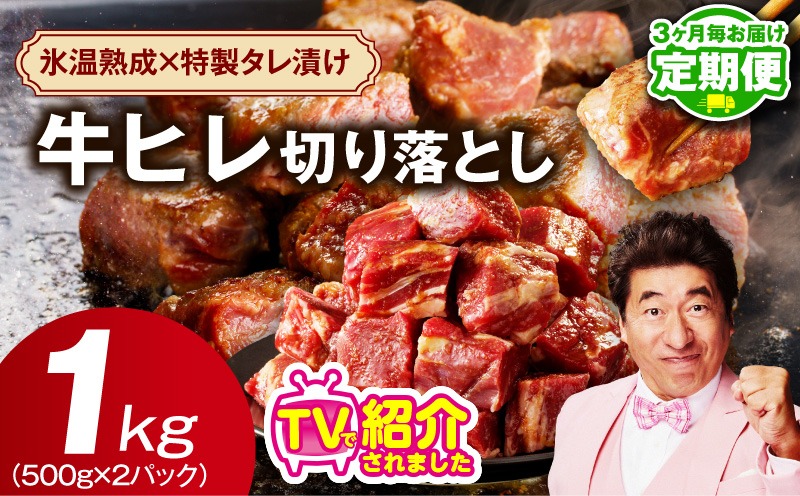 mrzZ050 【定期便】牛ヒレ肉 切り落とし 1kg×全2回【小分け 500g×2P 氷温熟成×特製ダレ サイズ不揃い やわらか ステーキ ひと口サイズ カット済み 2026年2月＆5月発送】