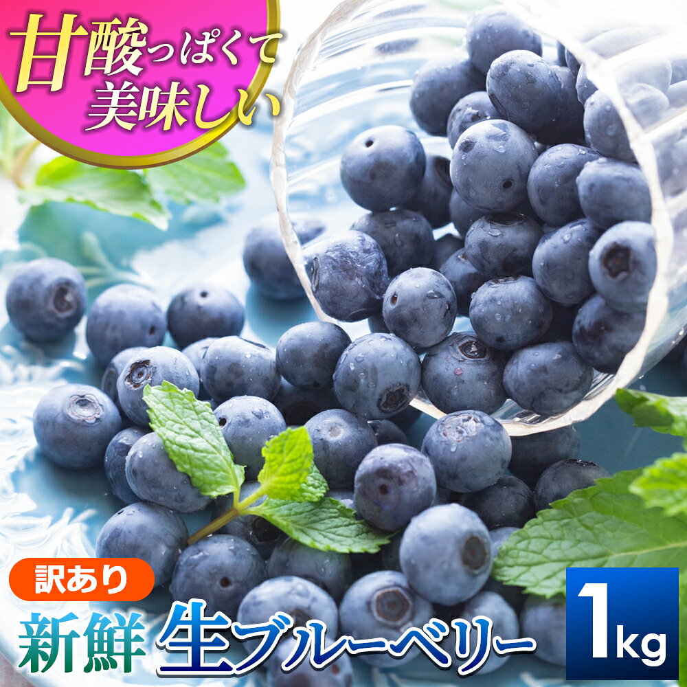 【ふるさと納税】新鮮生ブルーベリー1kg（訳あり） 鳥取県 鳥取県産 大山町 大山 お土産 返礼品 国産 お取り寄せ ご当地 MS-114
