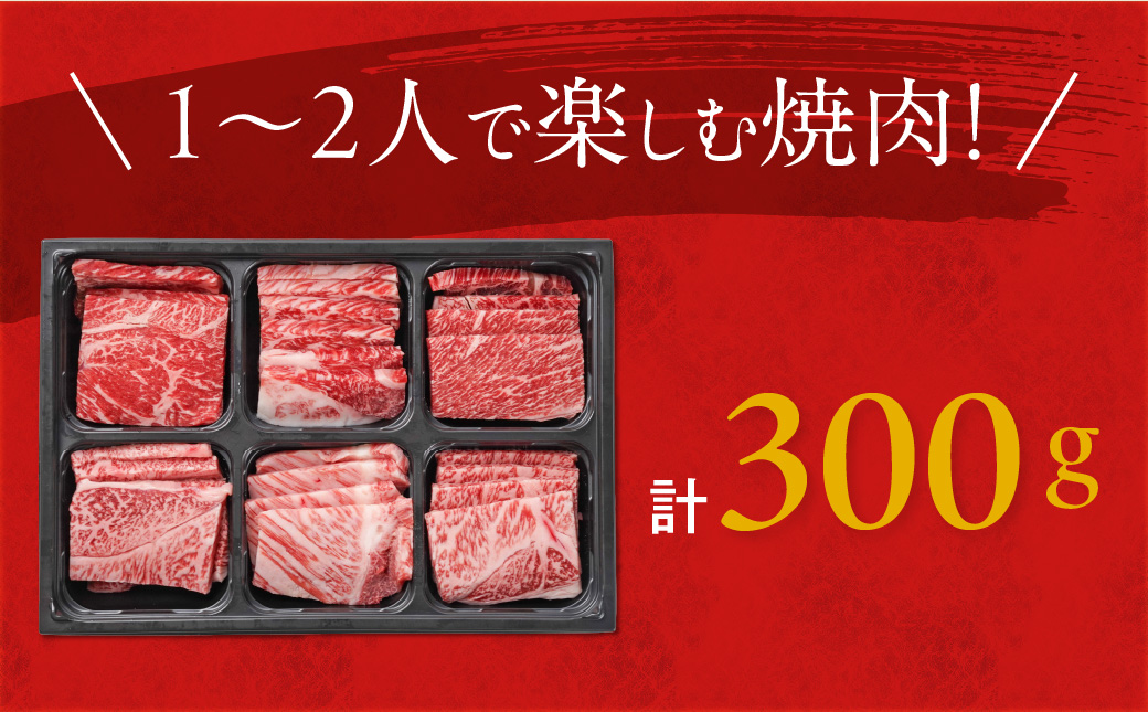 宮崎牛6種盛り肉箱焼肉食べ比べ300g_16-N204