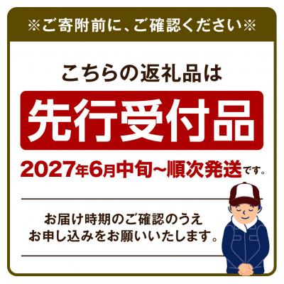 ふるさと納税 当別町 【令和9年度先行受付】生にんにく(福地ホワイト六片種)1kg_tb22-003 |  | 01
