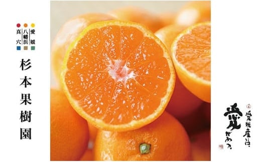 ＜2025年12月以降順次発送＞〈特選〉真穴、杉本果樹園八寿みかん(普通温州)3kg＜C34-30＞_ みかん ミカン 柑橘 フルーツ くだもの 果物 ふるーつ 青果 果実 甘い ジューシー 産直 産地直送 旬 柑橘類 【1510698】