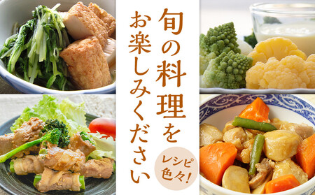 【先行予約】みうら農園 季節の野菜セット おまかせ7品（晩秋野菜）【10月上旬以降より順次発送】