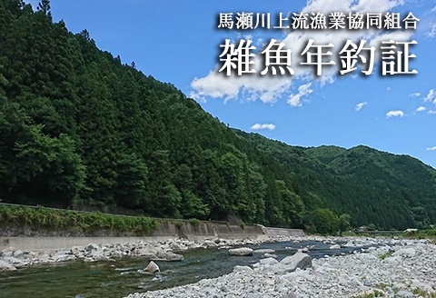 【令和6年】馬瀬川上流雑魚年釣証≪解禁日2月23日(金)≫ 渓流釣り 2024年 釣り券 釣り つり 魚 清流 馬瀬川【36-2】