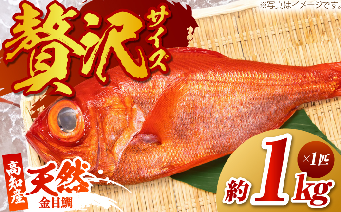 【先行予約】高知県産 天然 金目鯛 約1kg 〈2026年2月上旬～2026年11月末発送〉 /内臓・うろこ処理済み 刺身 煮付け たい タイ キンメダイ 【株式会社　四国健商】 [ATAF004]