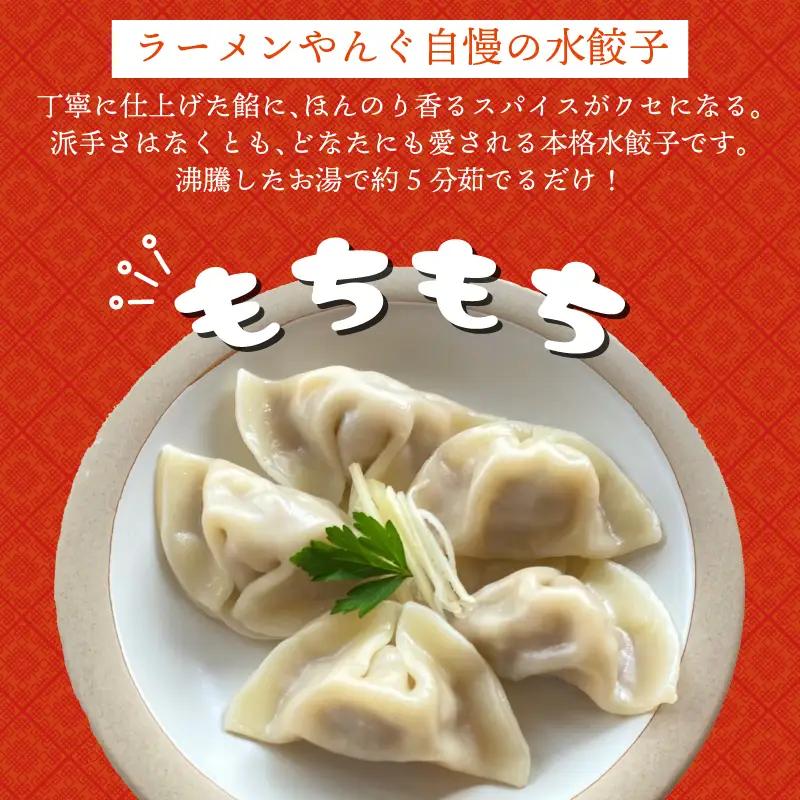 【お試し】自家製水餃子 10個 餃子