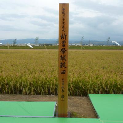 ふるさと納税 能美市 【令和6年産】石川県産 ひゃくまん穀 5kg×1袋 白米 |  | 01