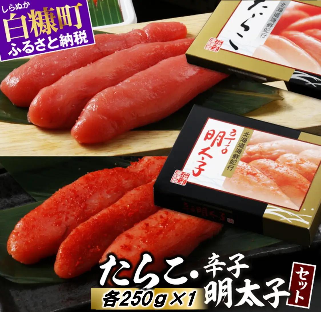 ＼高評価4.9／ たらこ・辛子明太子セット 【各250g×1】_L007-0736-A