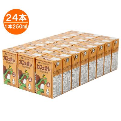 ふるさと納税 菊池市 カフェ・オ・レ250ml×24本 |  | 02