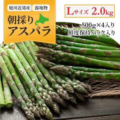 【先行受付】令和7年5月中旬より発送　アスパラ2kg500g×4　Lサイズ　旭川近郊産_01591【配送不可地域：離島】【1157033】