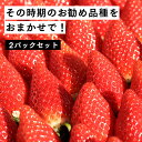 【ふるさと納税】【2月発送開始・数量限定】伊賀いちご園のおまかせ2P（280g/パック×2パック） - イチゴ ストロベリー strawberry【1801001】