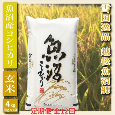 ふるさと納税 魚沼市 【毎月定期便】【雪国逸品 玄米4kg】越後魚沼郷 魚沼産コシヒカリ(2kg×2袋)全12回