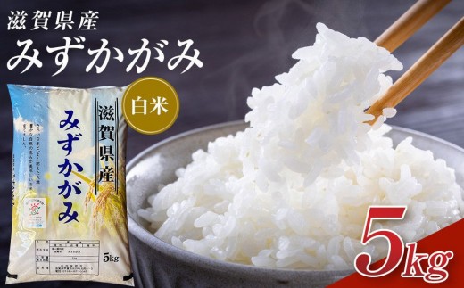 
                  【令和8年産 新米 先行予約】近江米みずかがみ白米5kg※2026年9月～発送
                