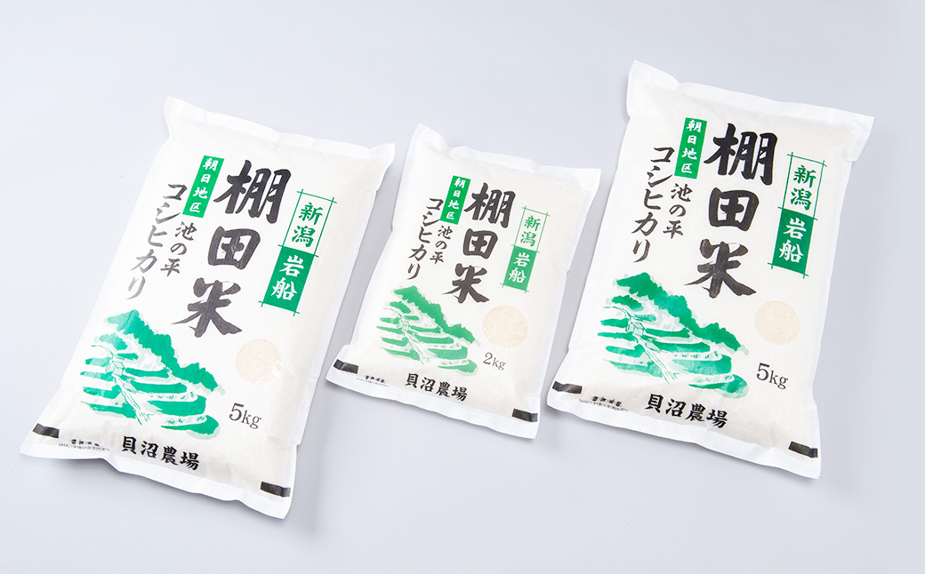 【新米受付・令和7年産米】NB4107 新潟県村上市岩船産　棚田米コシヒカリ12kg