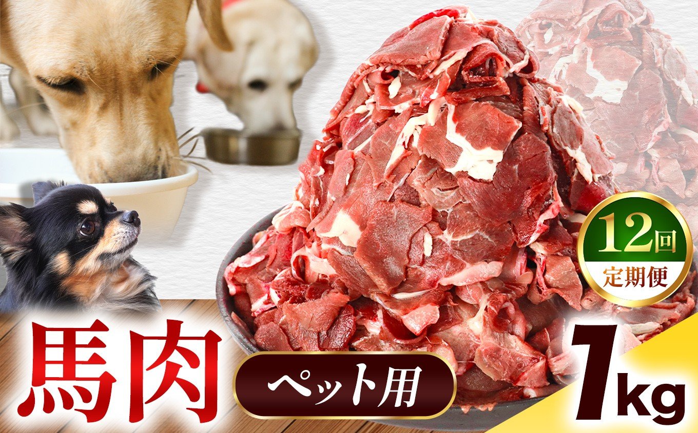 
            【 定期便12回 】ペット用 馬肉 切り落とし 1kg ( 500g × 2パック ) | 熊本県 熊本 くまもと 和水町 なごみ 馬肉 おまかせ 日本原産 国内肥育 小分け 冷凍
          