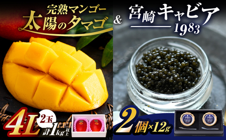 完熟マンゴー 太陽のタマゴ (4L×2玉) ＆ 宮崎キャビア1983 2個_NG1-25