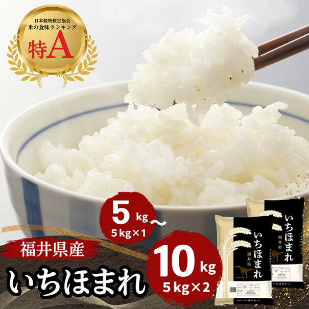 【ふるさと納税】福井県産いちほまれ 米 選べる容量 5kg 10kg [D-187001] / 食品 ご飯 お米 白米 いちほまれ ブランド米 米 コメ こめ 精米 白米 10キロ 5キロ 選べる 容量 令和6年 令和六年 6年 六年