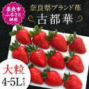 【ふるさと納税】【予約販売】 数量限定 宝石のような濃いルビー色 古都華 奈良ブランド苺 いちご 大粒 4L〜5L 2025年1月〜 発送 ギフト プレゼント 苺 ブランド苺 ブランドいちご フルーツ 果物 イチゴ 甘いいちご 期間限定 産地直送 奈良県 奈良市 IK-01