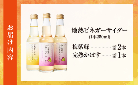地熱ビネガーサイダーセット(3本)_B009-015