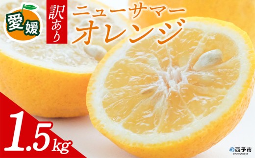 先行予約＜訳あり 愛媛県産 ニューサマーオレンジ 合計約1.5kg＞ 『2027年4月～5月に順次出荷予定』日向夏 小夏 ご家庭用 ご自宅 蜜柑 果肉 果物 柑橘 フルーツ オレンジ 国産 濃厚 果汁 産地直送 ミヤモトオレンジガーデン 愛媛県 西予市【常温】