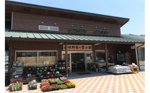 【定期便3回】阿蘇小国産・旬の野菜とお米5kgの詰め合わせ