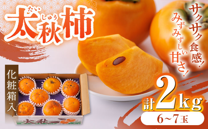 【先行予約】【化粧箱入り】山都町産 太秋柿 約2kg 甘柿 柿 かき 果物 フルーツ デザート スイーツ 秋の味覚 産地直送 山都町産 プレゼント 贈り物【大浜農園】[YCE001] 